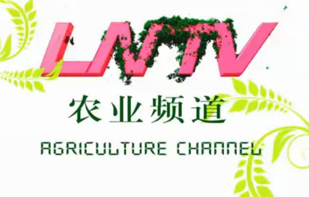 農(nóng)業(yè)頻道電視欄目包裝